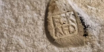 Schuhspuren im Schnee mit Abdruck FCK AfD, Screenshot Twitter