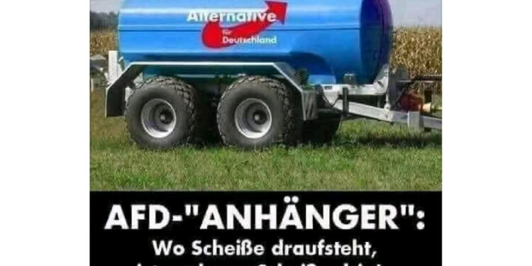 Anti AfD Screenshot von Tik Tok