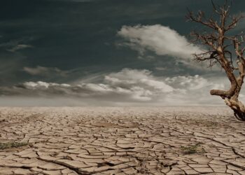 Vertrockneter Baum in einer Wüste mit vor Trockenheit aufgreissenem Boden, darüber Wolken am blauen Himmel