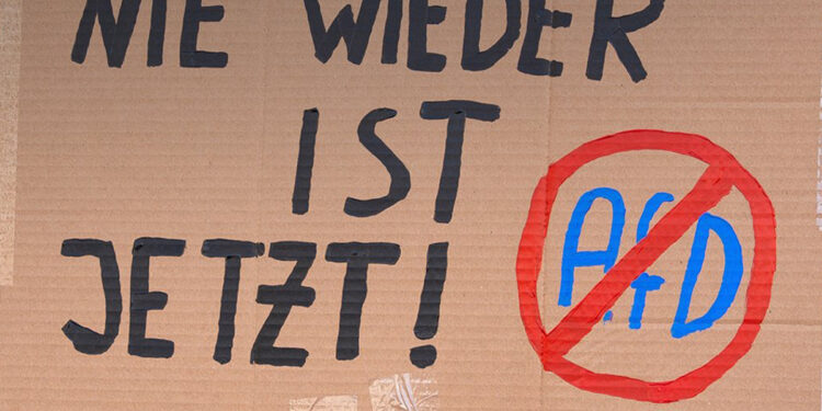 Anti-AfD-Plakat auf einer Demontration für Demokratie